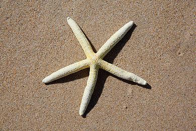 休闲风格城市建造游戏《贸易之路》现已正式发售